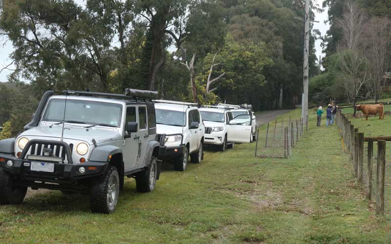 Bunyip State Park 4wd Trip Route Highland Cows