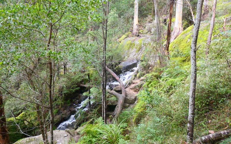 Bunyip State Park 4wd Trip Ship Rock Falls