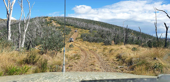 Mt Pinnibar Track