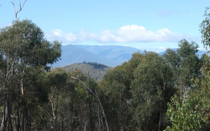 Toolangi Trip Leader Training View