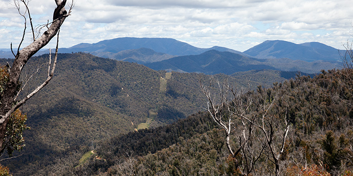 View of and from Goldie Spur Tk