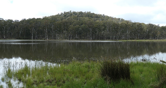 Lake Cobbler