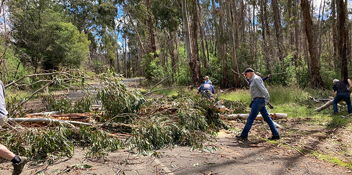 Tree clearing